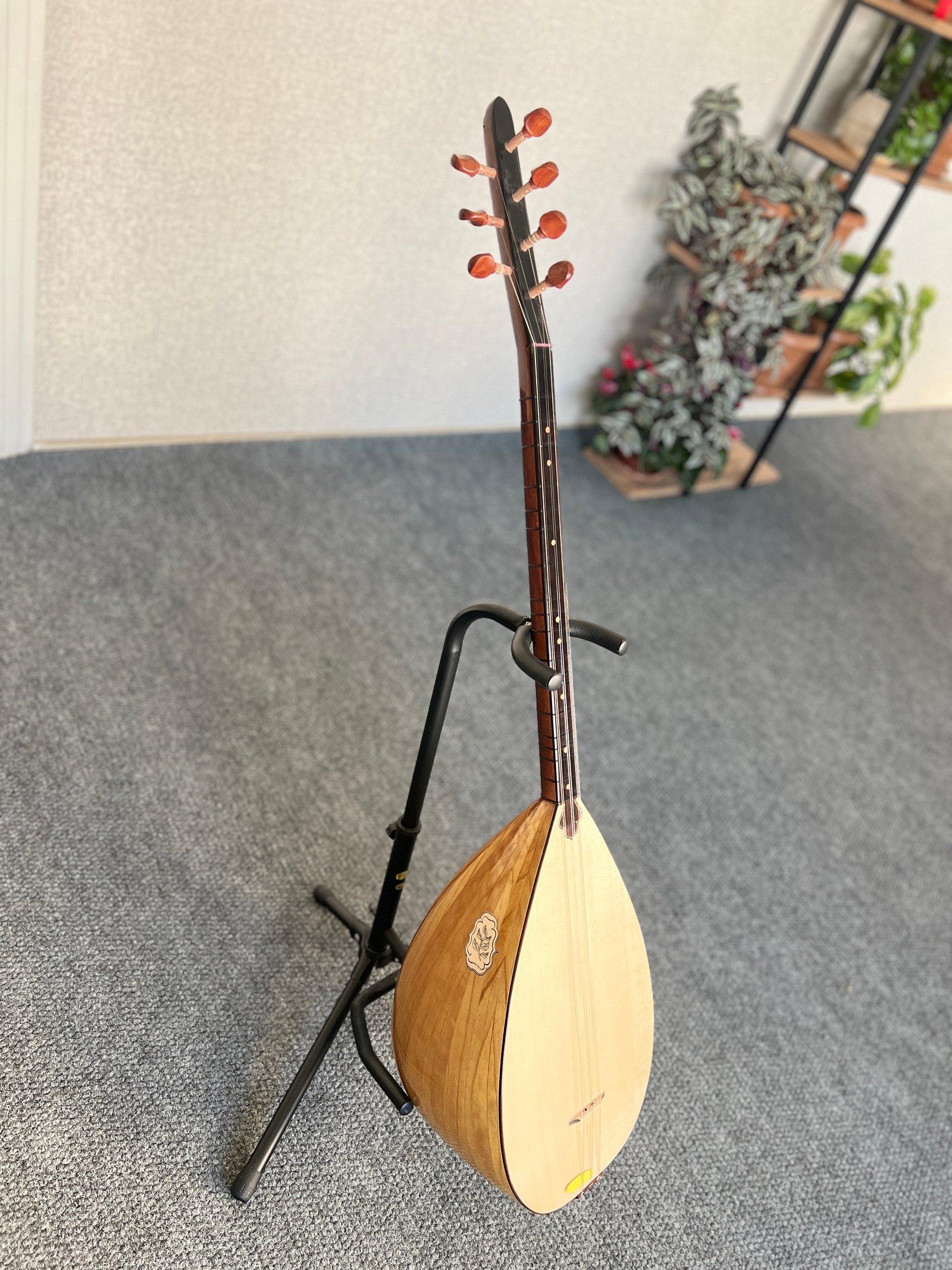 KISA SAP TAM PROFESYONEL BAĞLAMA