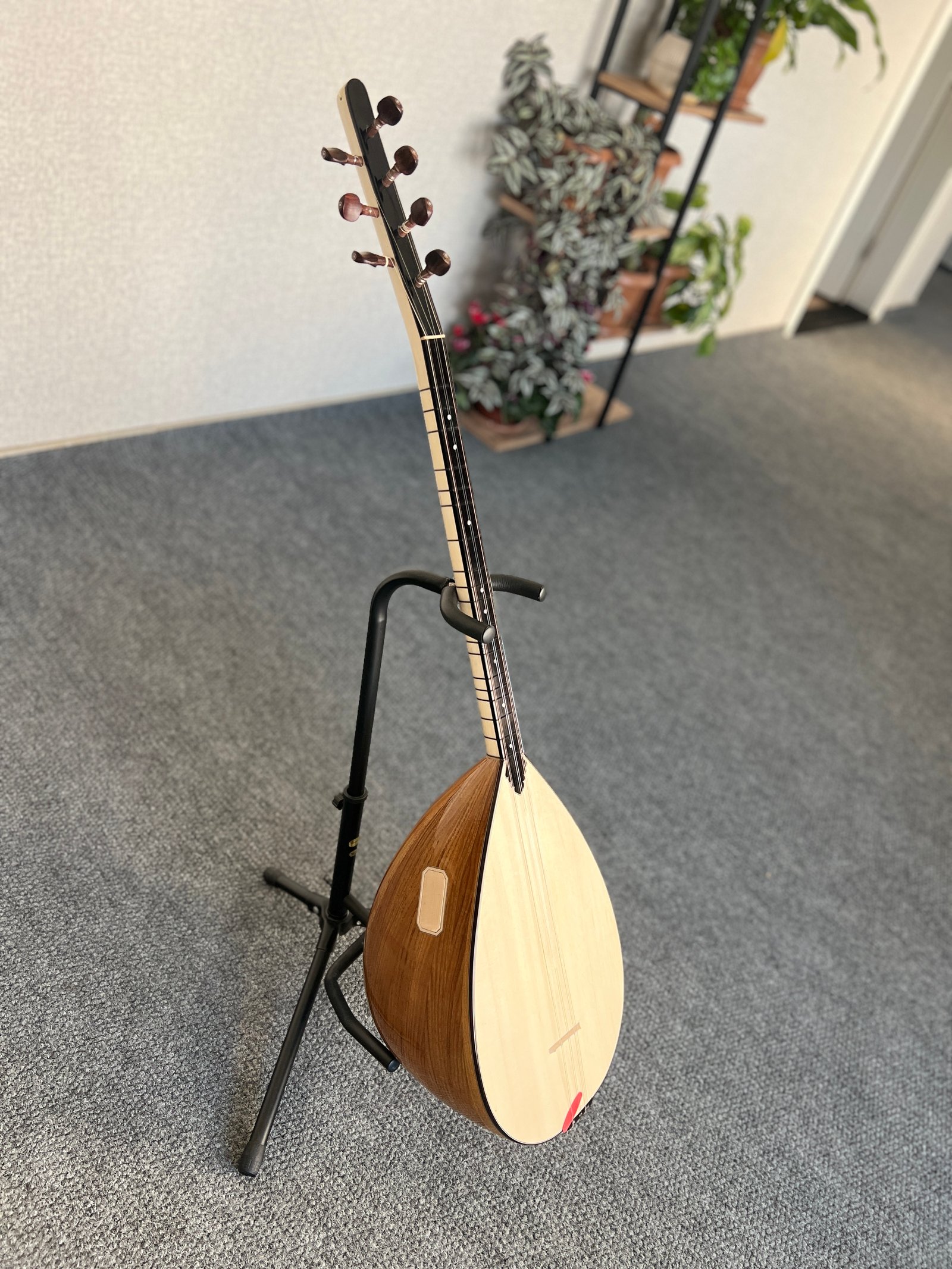 KISA SAP TAM PROFESYONEL BAĞLAMA